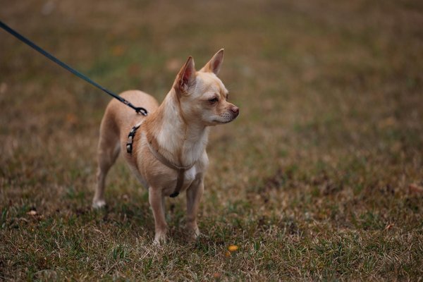 What Are the Long-Term Investment Prospects in the UK Real Estate Market?